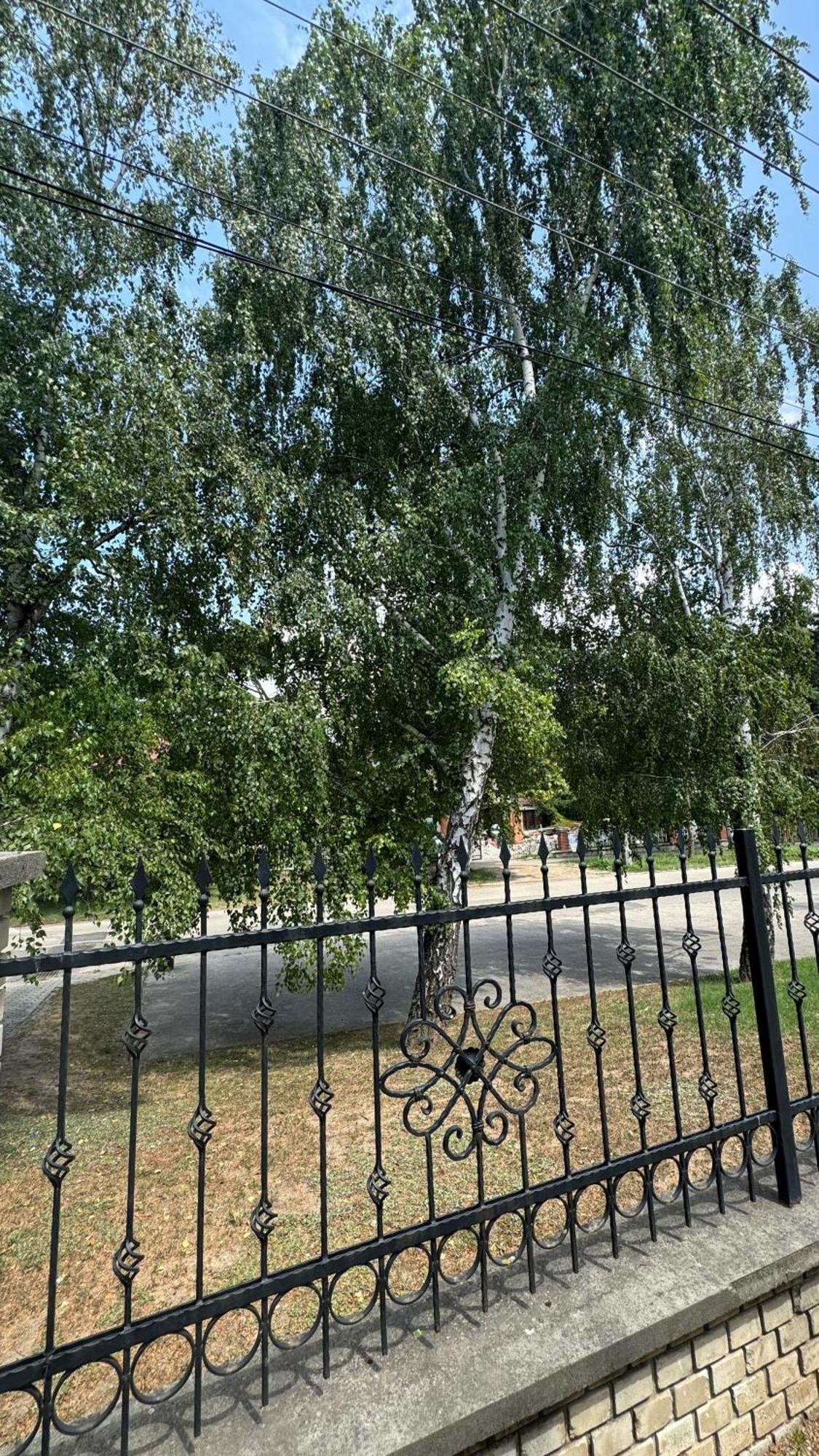 5 Haloszobas Wellness Vip House - Privat Medence Siofok Exterior photo